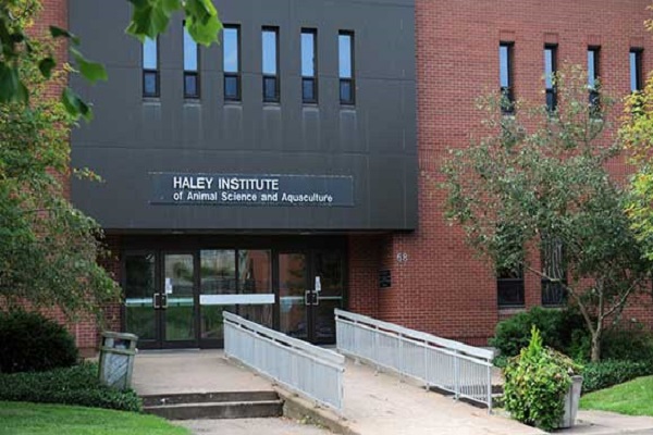 Haley Institute