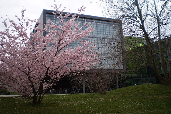 Building of the Faculty of Computer Science