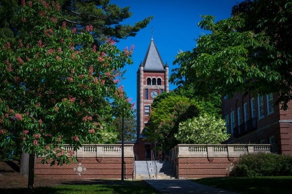 University of New Hampshire - picture